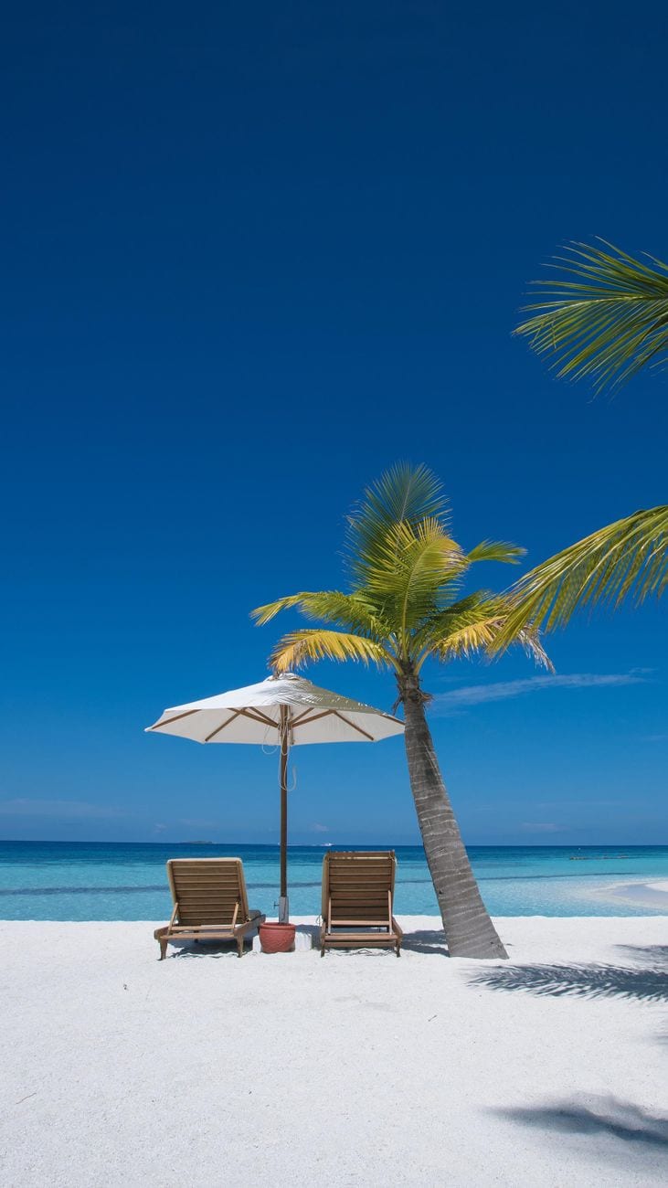 Idyllic beachfront scene with two chairs under an umbrella by a palm tree on white sand.